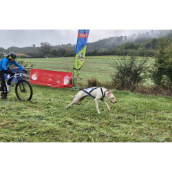 Harnais ACTICANI THUNDER Noir jaune rouge