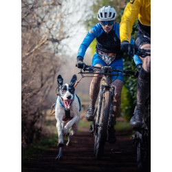 Harnais ACTICANI THUNDER Noir jaune rouge