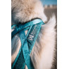 Non-stop "rush harness" - harnais de traction court