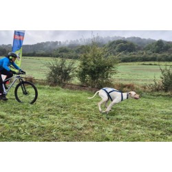 Harnais ACTICANI THUNDER COURT