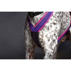 Harnais ACTICANI THUNDER violet et rose COURT
