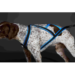 Pack Canivtt Acticani Bleu: Harnais+ligne+barre !