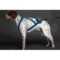 Pack Canivtt Acticani Bleu: Harnais+ligne+barre !