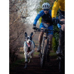 Pack Canivtt Acticani Bleu: Harnais+ligne+barre !