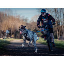 Pack Canivtt Acticani Bleu: Harnais+ligne+barre !