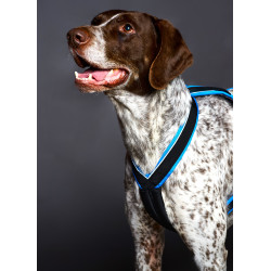 Harnais ACTICANI THUNDER Vibes