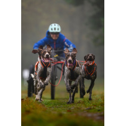 Packs canicross/canivtt Acticani Vibes