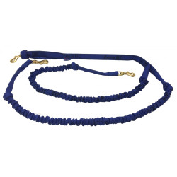 Ligne de trait amortie 2 chiens zero dc