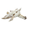 oreilles de lapin avec fourrure Uniq 300g ou 1kg
