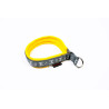 collier rembourré pour chien
