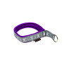 collier rembourré pour chien