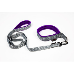 collier rembourré pour chien