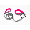 collier rembourré pour chien