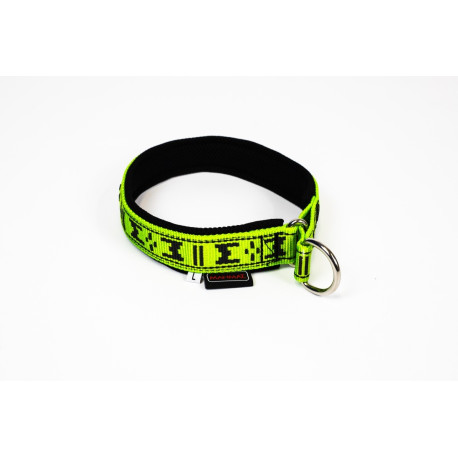collier rembourré pour chien