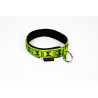 collier rembourré pour chien
