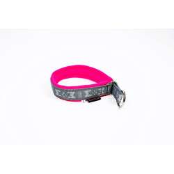 collier rembourré pour chien