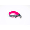 collier rembourré pour chien