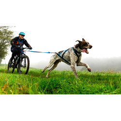 Pack Canicross Vibes