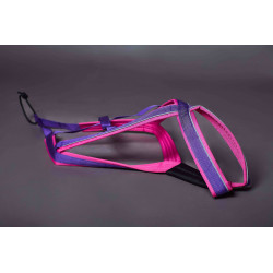 Pack Acticani canicross et canimarche ROSE, pour chien un peu court