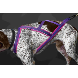 Pack Acticani canicross et canimarche ROSE, pour chien un peu court