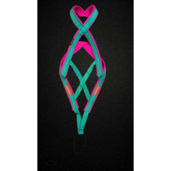 Pack Acticani canicross et canimarche Turquoise/ROSE, chien un peu court