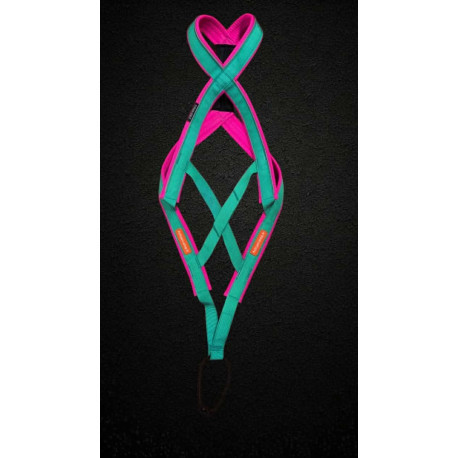Pack Acticani canicross et canimarche Turquoise/ROSE, chien un peu court