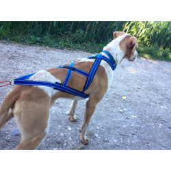 Harnais Nomesele Troll attelage