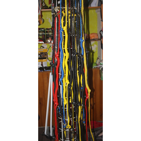 Ligne de trait canicross