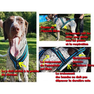 Guide pour choisir son harnais