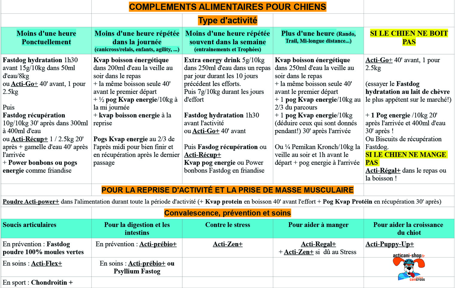 Guide des compléments alimentaires pour chien